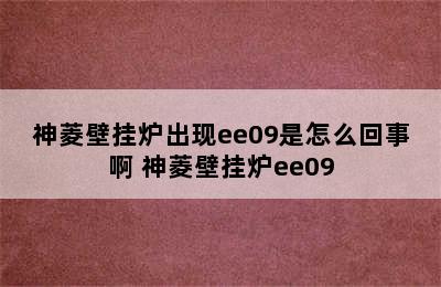 神菱壁挂炉出现ee09是怎么回事啊 神菱壁挂炉ee09